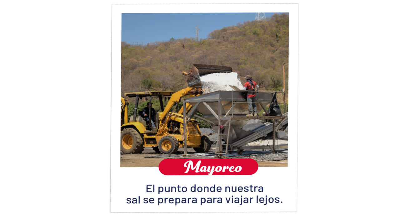 Mayoreo