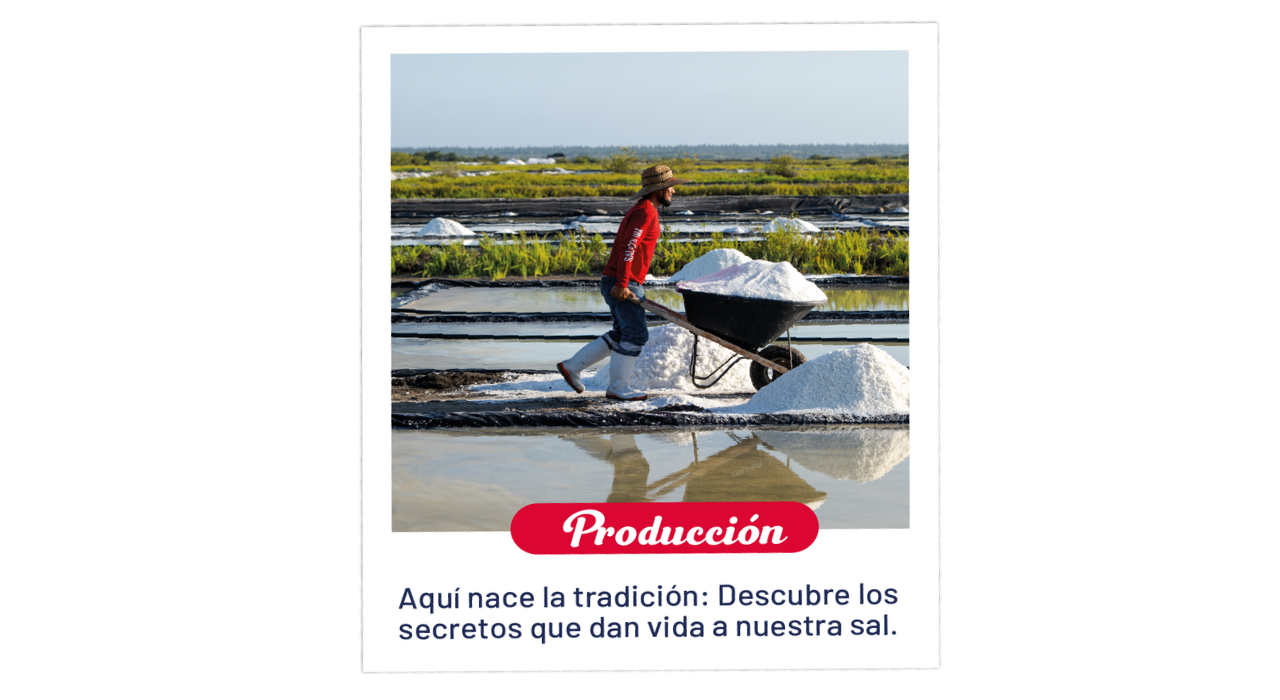 Producción