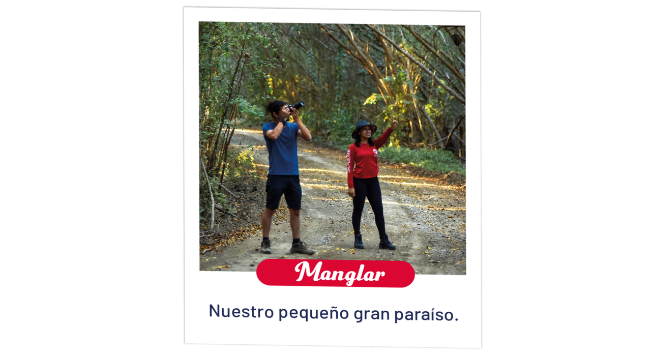 Los Manglares