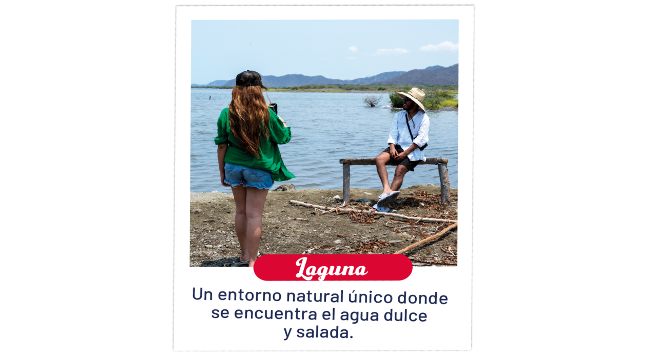 Laguna